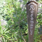 giardinaggio-garden-markers-rosmarino
