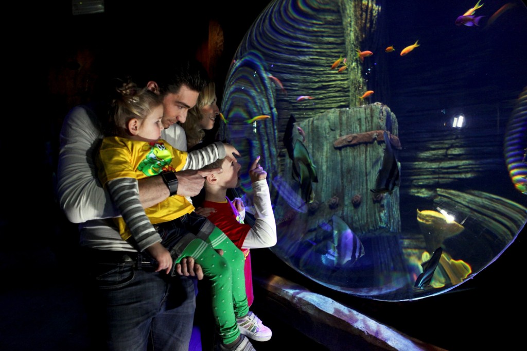 papà e bimbi aquario gardaland